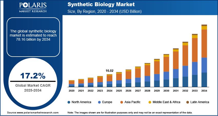 Synthetic Biology Market Size